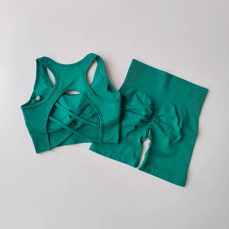 2 PCS Women Seamless Yoga Set - Sport Bra + High Waist Shorts